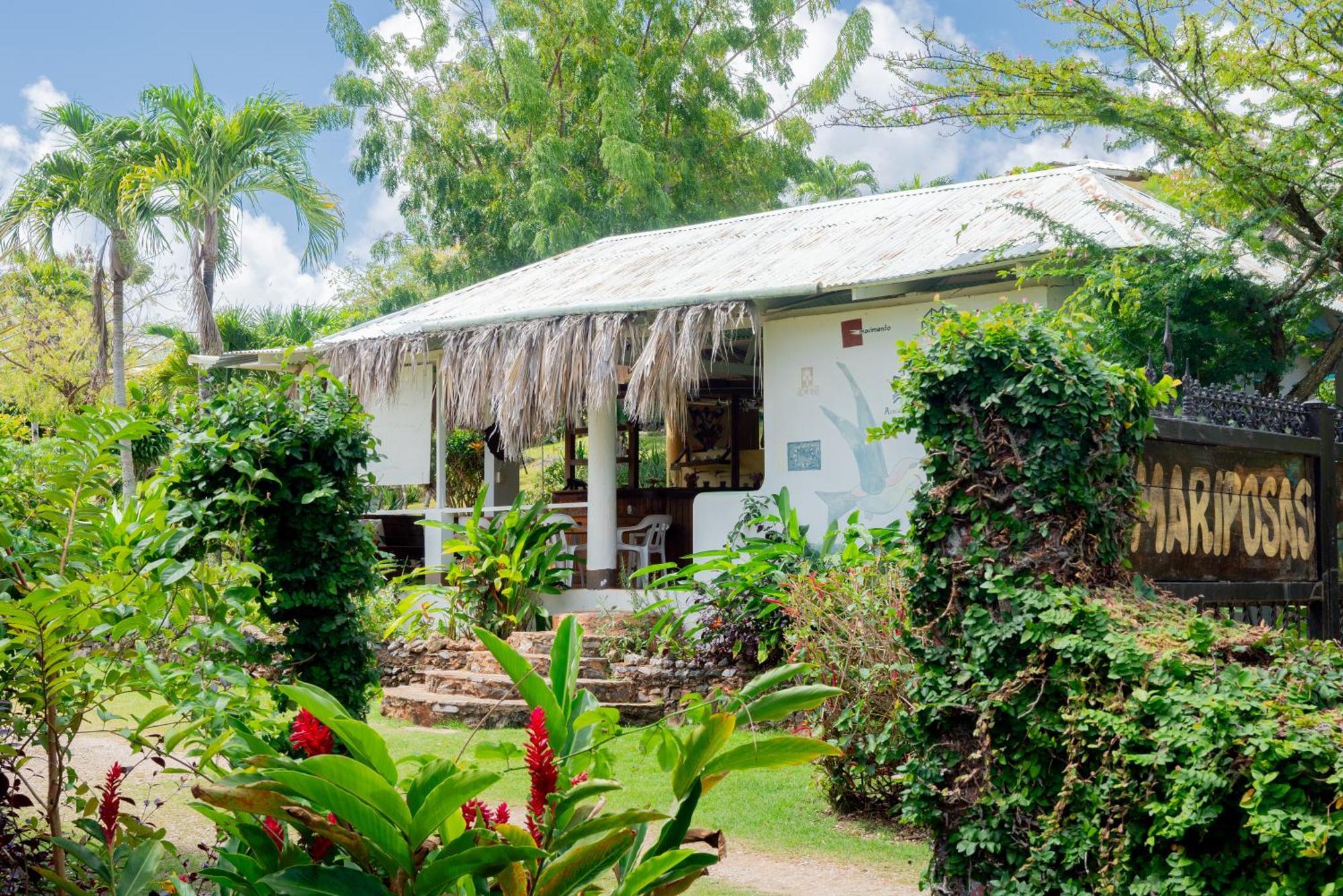 Las Mariposas Las Galeras Exterior foto