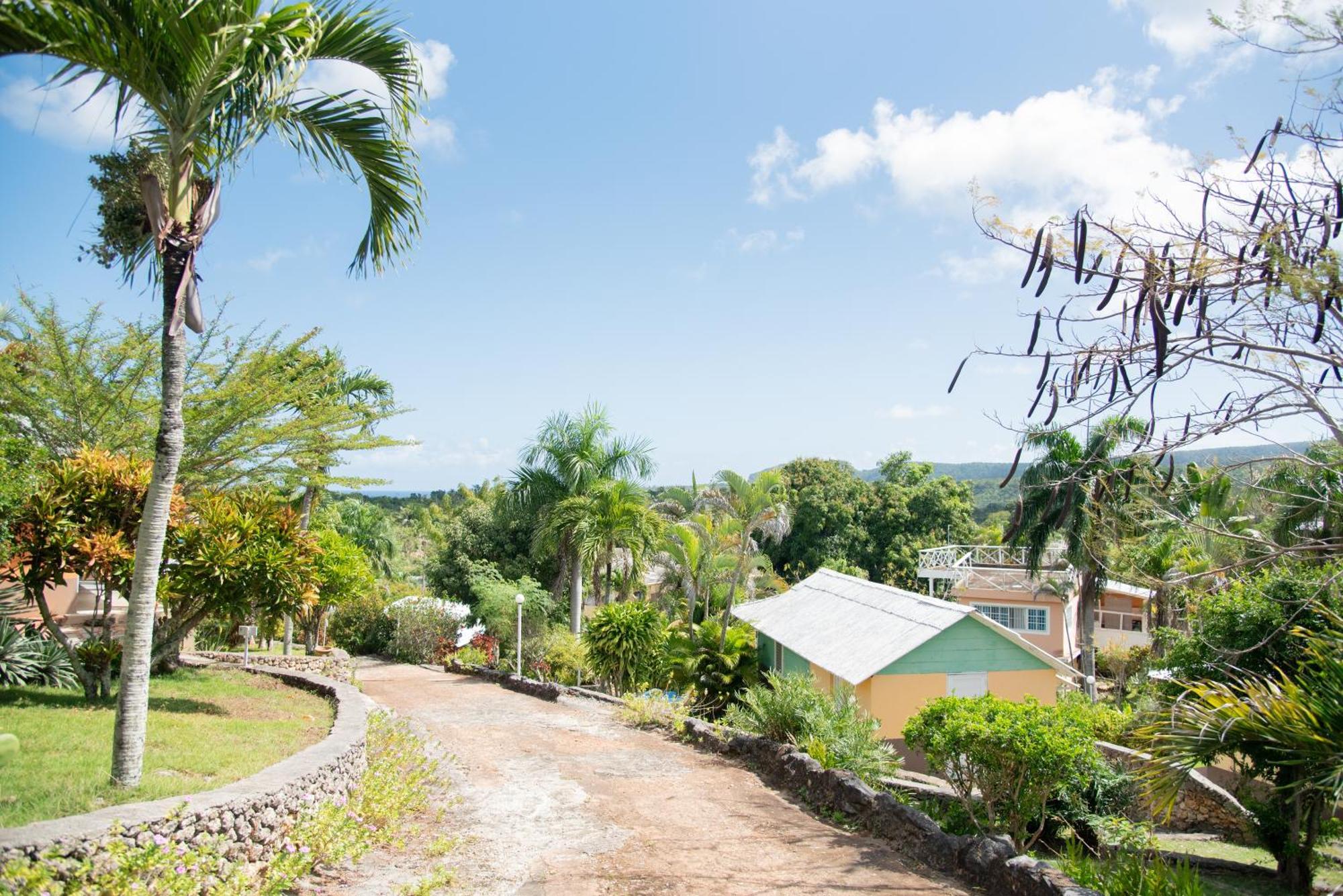 Las Mariposas Las Galeras Exterior foto